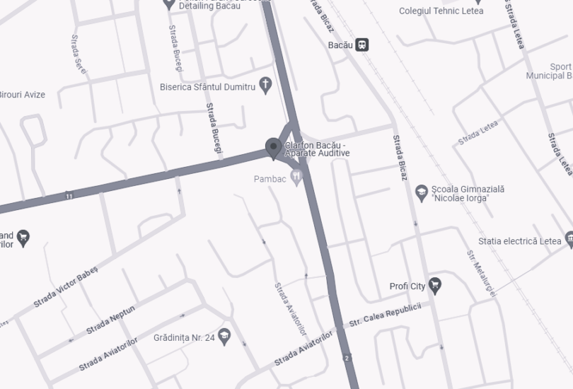 Aparate Auditive Bacau Narciselor