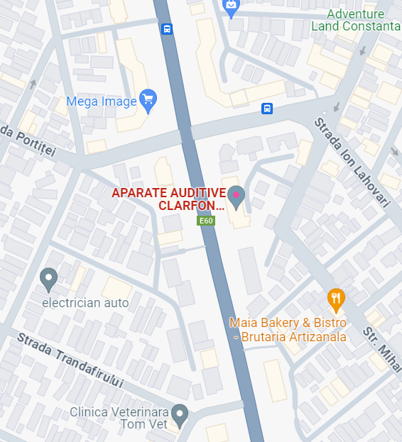 Aparate Auditive Constanta Alex.Lăpușneanu